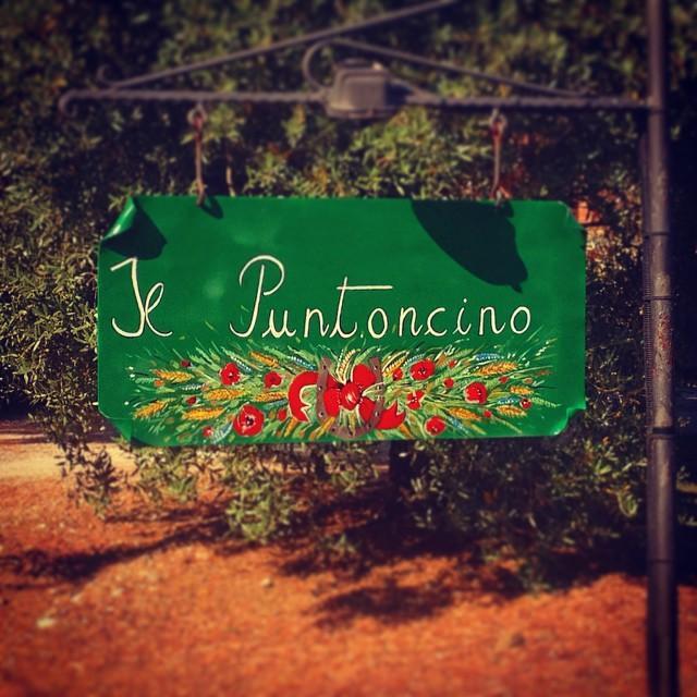 Agriturismo Il Puntoncino 马西利亚纳 外观 照片