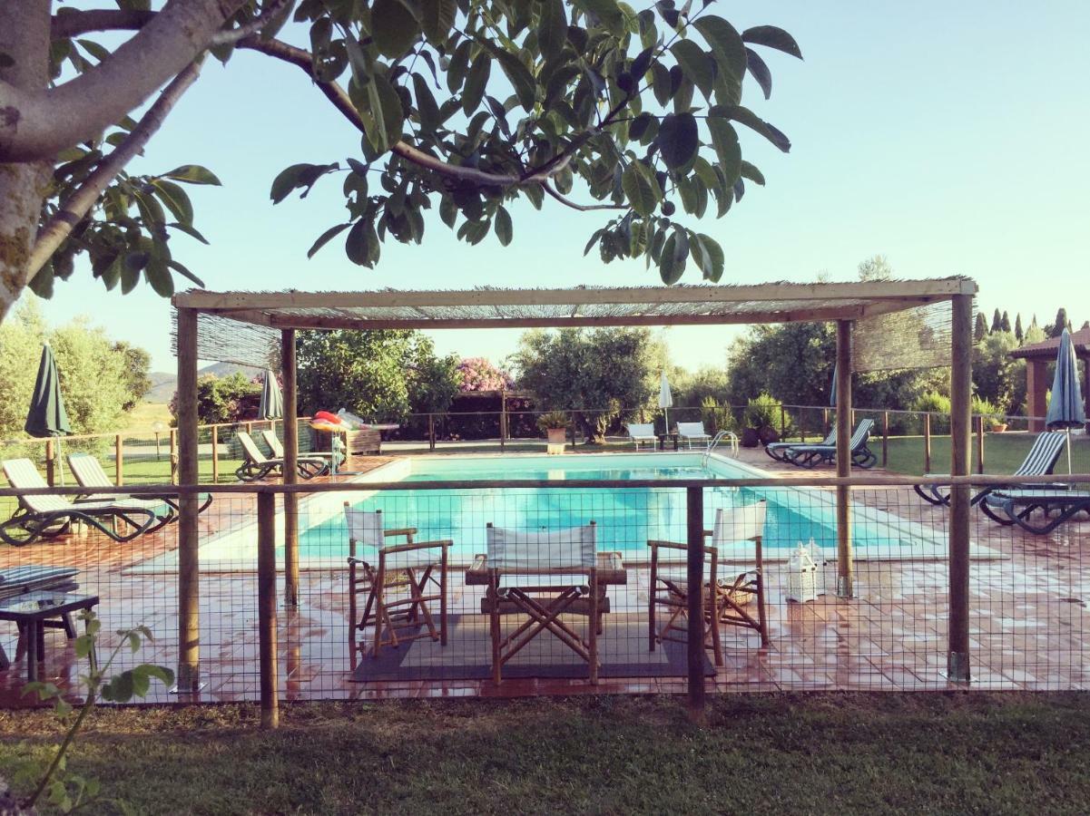 Agriturismo Il Puntoncino 马西利亚纳 外观 照片